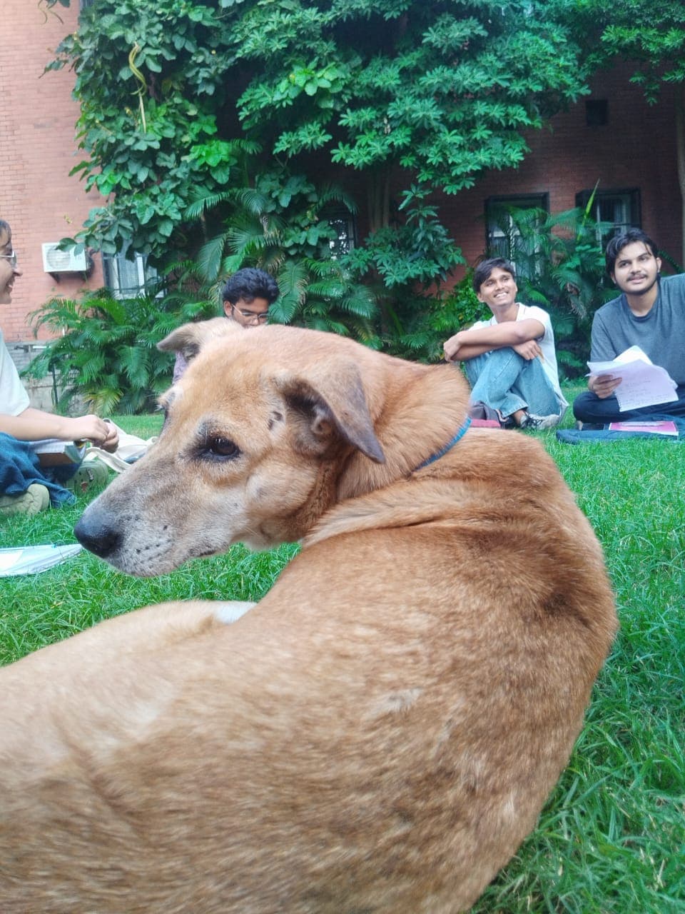 Ramjas College Extra-Curricular photo 1